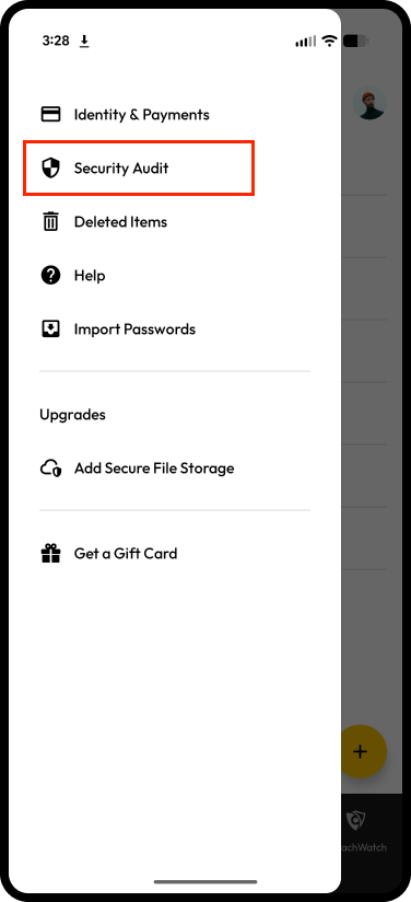 Left Menu > Security Audit